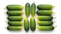 Are aligned in two vertical rows of three cucumbers each flanking Royalty Free Stock Photo