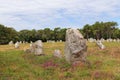 Alignment of Kerlescan, megalithic monuments in Carnac, Brittany, France Royalty Free Stock Photo