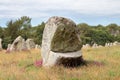 Alignment of Kerlescan, rows of menhirs in Carnac in Brittany Royalty Free Stock Photo