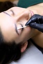 The master of combining eyebrows evenly distributes the second composition with a brush on the eyebrows of the model