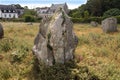 Alignment of menhirs in the forest at Carnac southern Brittany gulf Morbihan neolithic site France Royalty Free Stock Photo