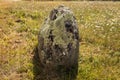 Alignment of menhirs in the forest at Carnac southern Brittany gulf Morbihan neolithic site France Royalty Free Stock Photo