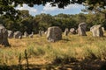 Alignment of menhirs in the forest at Carnac southern Brittany gulf Morbihan neolithic site France Royalty Free Stock Photo