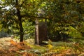 Alignment of menhirs in the forest at Carnac southern Brittany gulf Morbihan neolithic site France Royalty Free Stock Photo