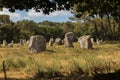 Alignment of menhirs in the forest at Carnac southern Brittany gulf Morbihan neolithic site France Royalty Free Stock Photo