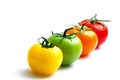 Alignment of multicolored tomatoes Royalty Free Stock Photo