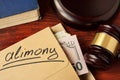 Alimony concept. Royalty Free Stock Photo