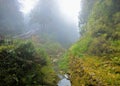 Alishan forest amusement park Royalty Free Stock Photo