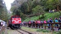 Tourists at The Alishan Forest Railway Royalty Free Stock Photo