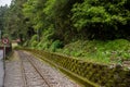 Alishan forest railway narrow gauge train
