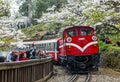 Alishan forest train in Chiayi, Taiwan.