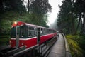 Alishan forest train railway