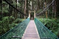 Alishan suspension bridge