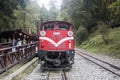Public Train dock at Sacred Tree Station in Alishan National Scenic Area Taiwan