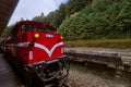 Train at platfrom of Alishan forest railway station