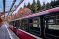 Train at platfrom of Alishan forest railway station