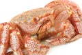 Alive Alaskan king crab Royalty Free Stock Photo