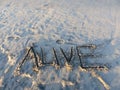 Alive Inspirational Sand Word