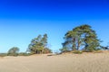 Alive and moving drifting sand dunes of Soesterduinen area in Netherlands