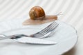Alive snail on plate with fork and knife - Uncooked yet - Not ready Royalty Free Stock Photo