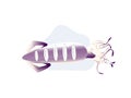 alive squid seafood. Soft cuttlefish. cartoon illustration