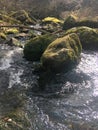 Alive water stream in river through stones for healthy nature
