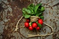 Alkaline, healthy food ingredient : radish Royalty Free Stock Photo