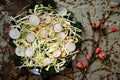 Alkaline, healthy salad : soybeans sprout with radish and kale Royalty Free Stock Photo