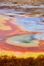 Alkaline waters of basin in Yellowstone with colorful pools