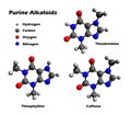 Alkaloids - caffeine, theobromine, theophylline Royalty Free Stock Photo