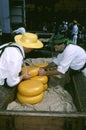 ALKMAAR CHEESE MARKET