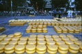 ALKMAAR CHEESE MARKET NETHERLANDS