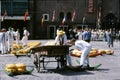 ALKMAAR CHEESE MARKET NETHERLANDS