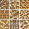 Jungle Cat Camouflage Collection, High-Quality Seamless Prints for Apparel and Design. Royalty Free Stock Photo