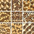 Jungle Cat Camouflage Collection, High-Quality Seamless Prints for Apparel and Design. Royalty Free Stock Photo