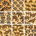 Jungle Cat Camouflage Collection, High-Quality Seamless Prints for Apparel and Design. Royalty Free Stock Photo