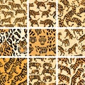 Jungle Cat Camouflage Collection, High-Quality Seamless Prints for Apparel and Design. Royalty Free Stock Photo