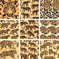 Jungle Cat Camouflage Collection, High-Quality Seamless Prints for Apparel and Design. Royalty Free Stock Photo