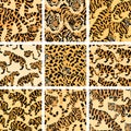 Jungle Cat Camouflage Collection, High-Quality Seamless Prints for Apparel and Design. Royalty Free Stock Photo