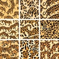 Jungle Cat Camouflage Collection, High-Quality Seamless Prints for Apparel and Design. Royalty Free Stock Photo