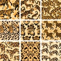 Jungle Cat Camouflage Collection, High-Quality Seamless Prints for Apparel and Design. Royalty Free Stock Photo