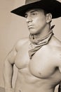 All american cowboy Royalty Free Stock Photo