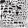 All the animals of Africa