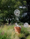 Hidden Fairy & Dandelion Sculptures at Trentham Estate 2