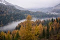The valley of the river covered with fog seems to divide the autumn colored by the now white winter covered with snow Royalty Free Stock Photo