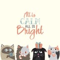 All is calm all is bright. Holiday greeting card with cute cat c