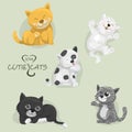 All cartoon cutie cats,set of cartoon cats,vector