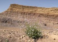 All the Colors of the Makhtesh Ramon Crater in Israel