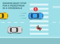 All drivers must stop for a pedestrian in a crosswalk. Failing to stop for pedestrians. Top view.