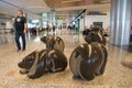 All eyes are on you Walking through Calgary Airport